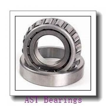 AST SIZJ11 plain bearings