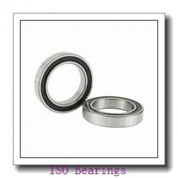 ISO NJ2896 cylindrical roller bearings