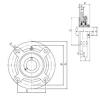 ISO UCFC215 bearing units