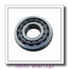 NACHI 23126EX1 cylindrical roller bearings #1 small image