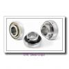 SNR 3304B angular contact ball bearings