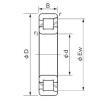 NACHI NF 1084 cylindrical roller bearings #2 small image