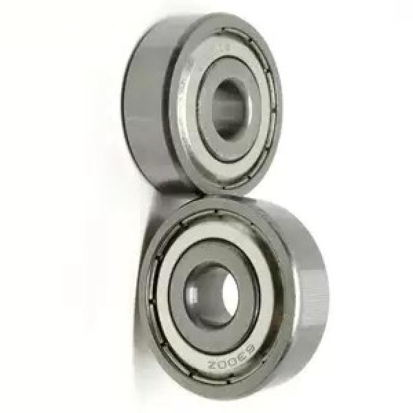 6201 2RS1 6604 Zz 6002 2RS1 6305 2RS1 6304 2RS1 SKF Bearing #1 image