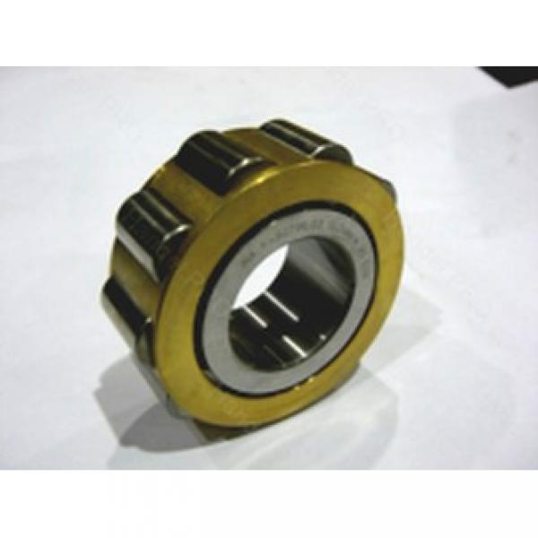 INA F-93695 cylindrical roller bearings #3 image