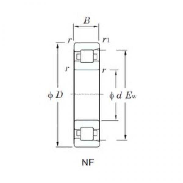 KOYO NF313 cylindrical roller bearings #2 image